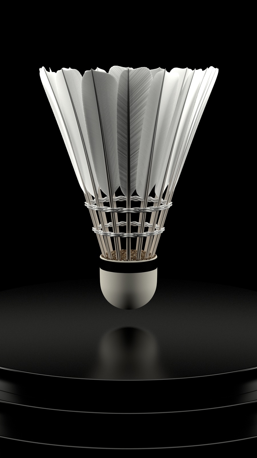 理想的训练 理想的训练