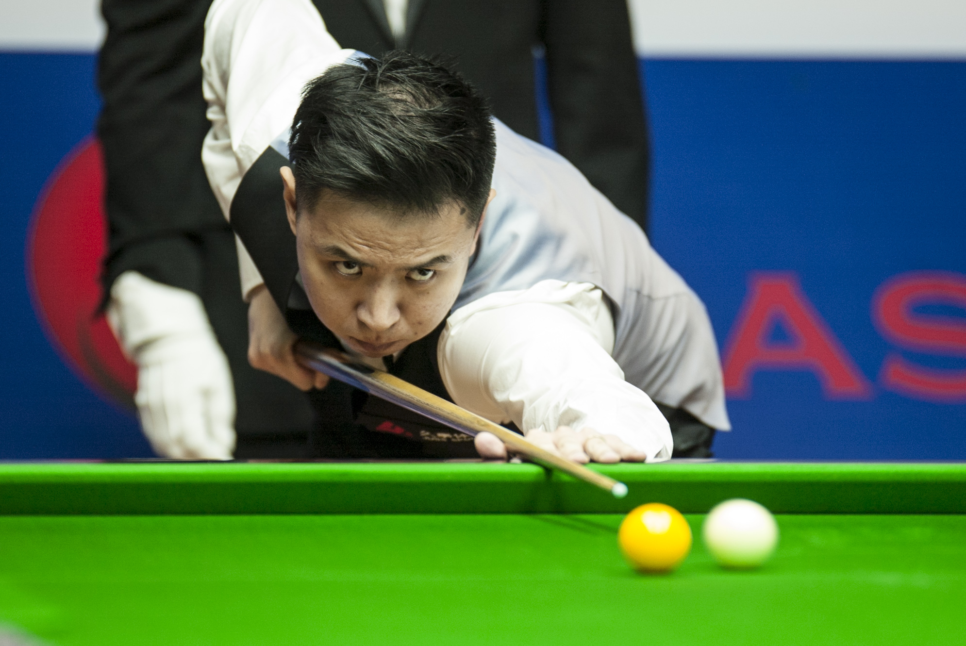 扬在转会国 扬在转会国