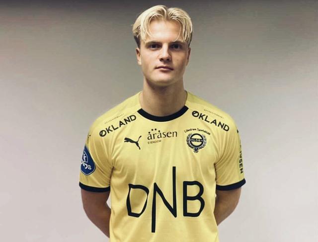 此时的灰熊 此时的灰熊